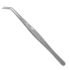 Kynea Surgical Cotton and Dressing Forceps 6 Inch Serrated Angled with Lock on white background