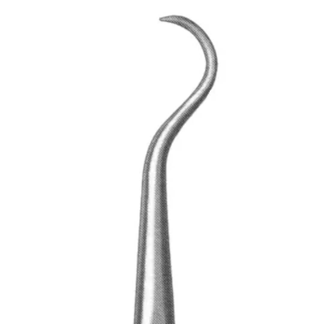 Shoulder percussion awl 8.5 inch large curved stainless steel on white background