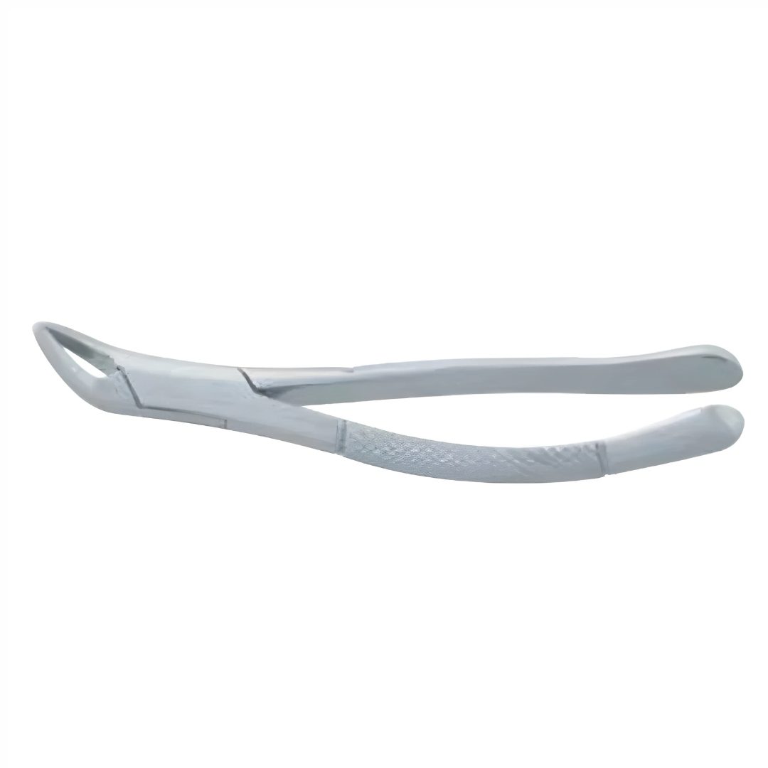Kynea Surgical stainless steel dentist extracting forceps for professional tooth extraction.