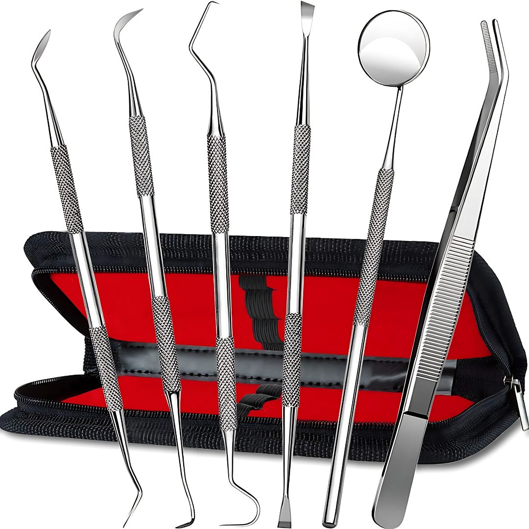 Professional dental pick and tartar remover instruments for oral care