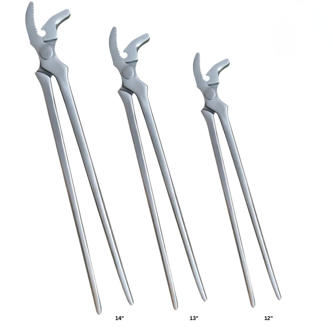 Professional farrier hoof clincher stainless steel – Kynea Surgical